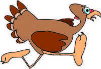 turkey