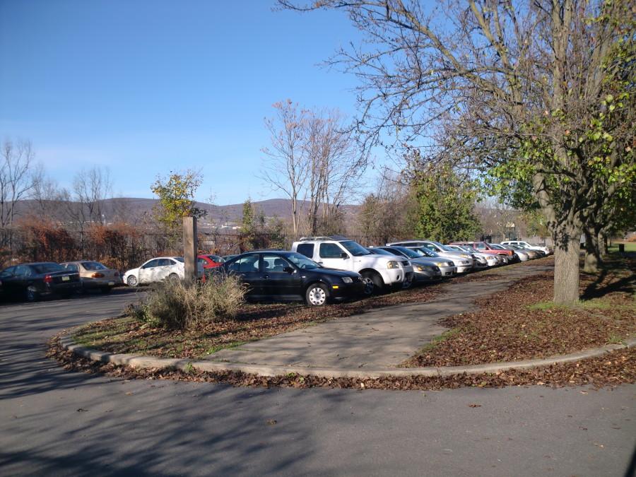 Cars Parked at Crowley Park 