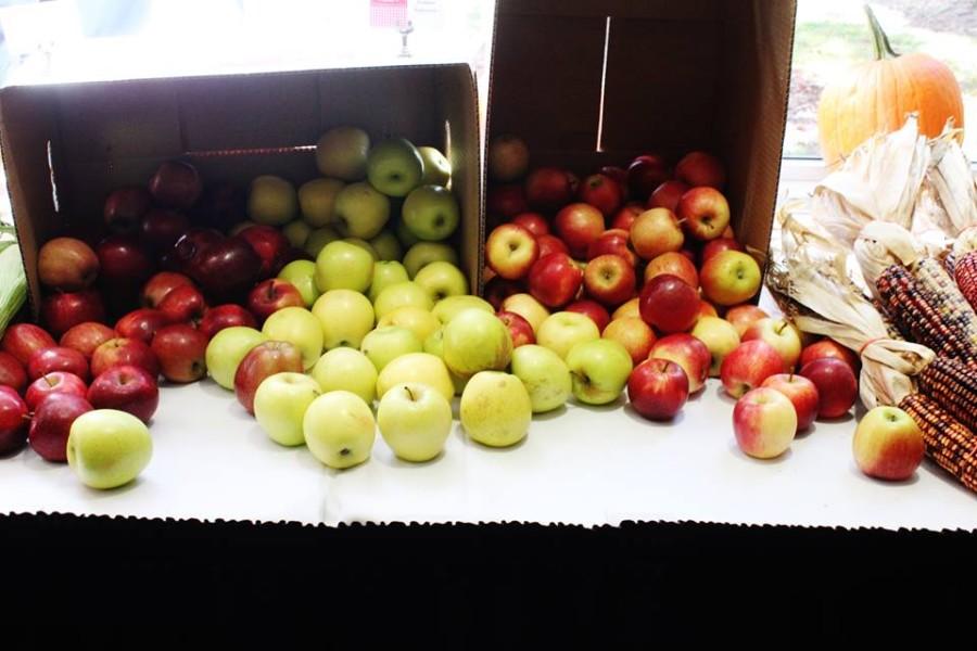 Farmers Market in Nazareth Student Center