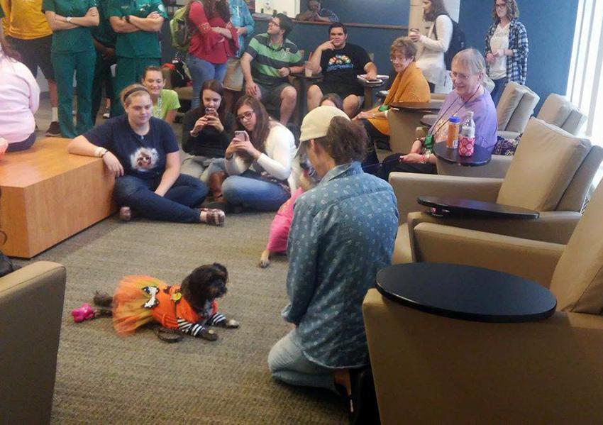 Students gather around one of the therapy dogs in the Loughran Hall terrace floor lounge on Oct. 22. 