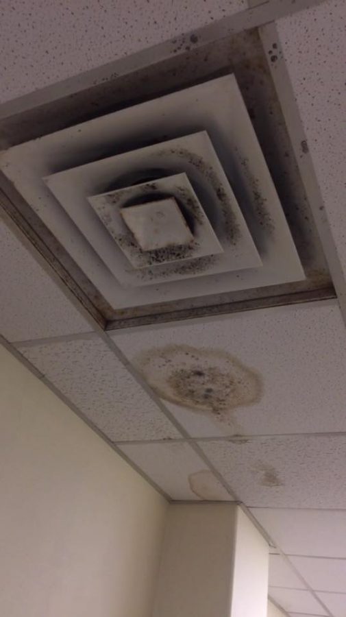 Mold in PAC grows to be a problem