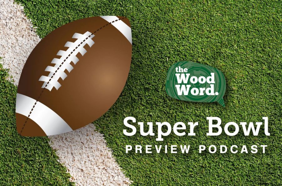 COMMENTARY%3A+Super+Bowl+LI+Preview%3A+Atlanta+Falcons+meet+The+Patriot+Dynasty