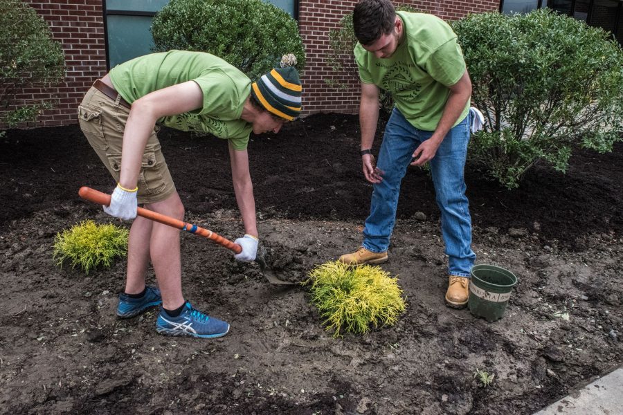 John Shebby, a freshman biotechnology major, and Joe Hunt, a senior business and finance major, plant a shrub in front of the Center for Wellness and Athletics.