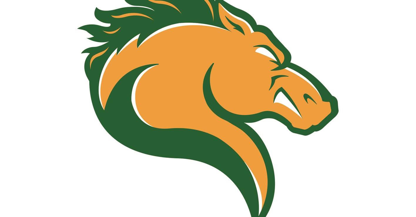 Marywood Athletics reveals new look with brand new logo, athletic identity