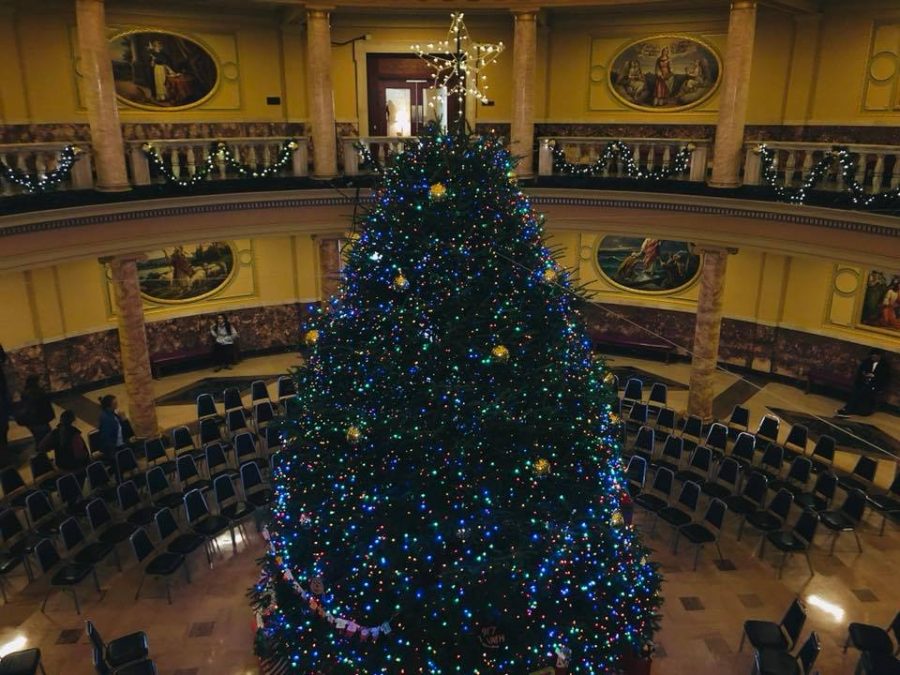 The towering evergreen remains lit through the holiday season in Marywood’s Rotunda. 