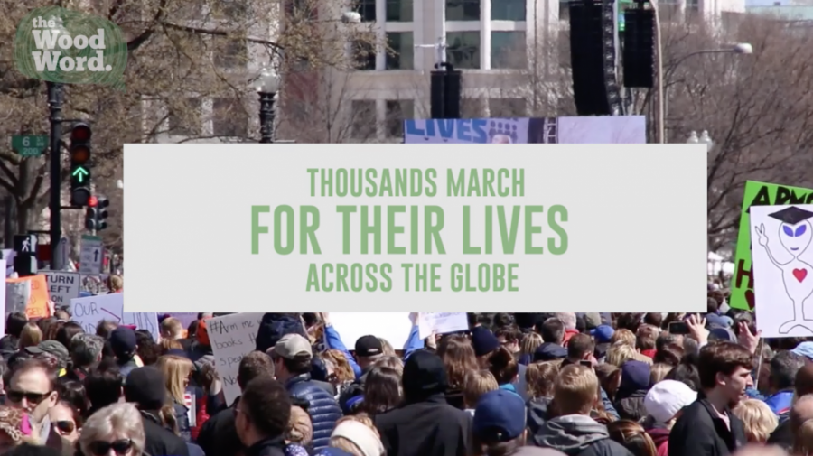 Thousands march for their lives