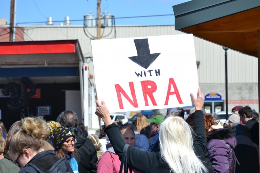 Scranton March for Our Lives demonstrator holds an anti-NRA sign. Photo credit: Alex Weidner