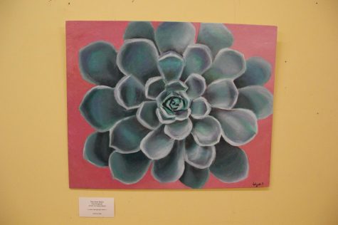 Succulent Spiral Elyse Krupinski.JPG