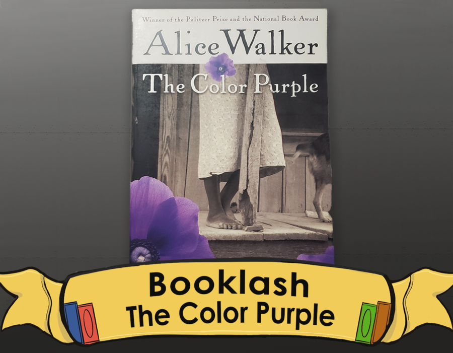 Alice Walker's controversial novel was first published in 1982.