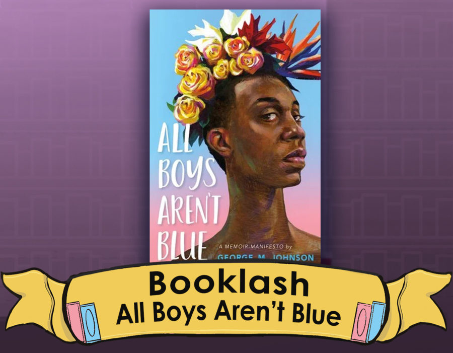 BookLash%3A+All+Boys+Arent+Blue
