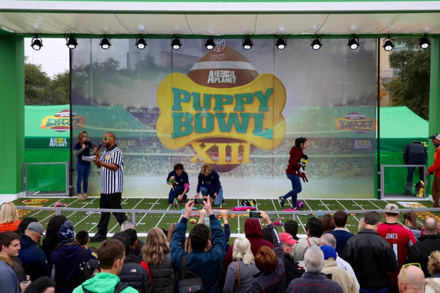 The+Puppy+Bowl+airs+every+year+on+Super+Bowl+Sunday.