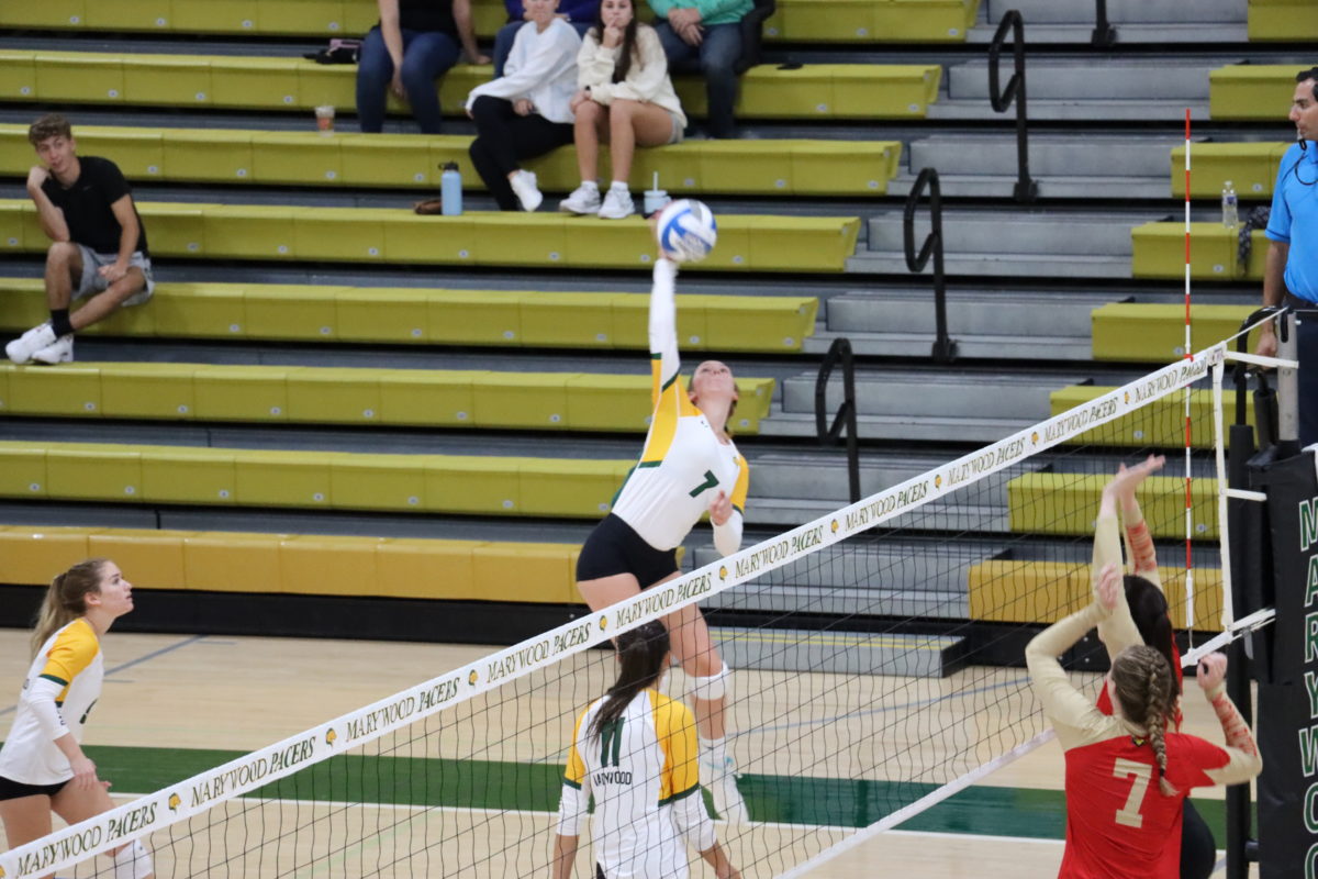 Mikayla Meek (7) jumping to spike the ball.