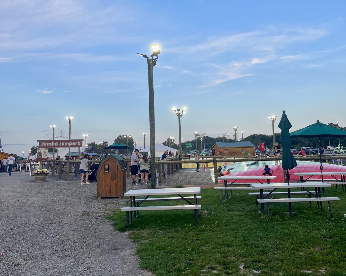Outdoor activities at Lakeland Orchard & Cidery