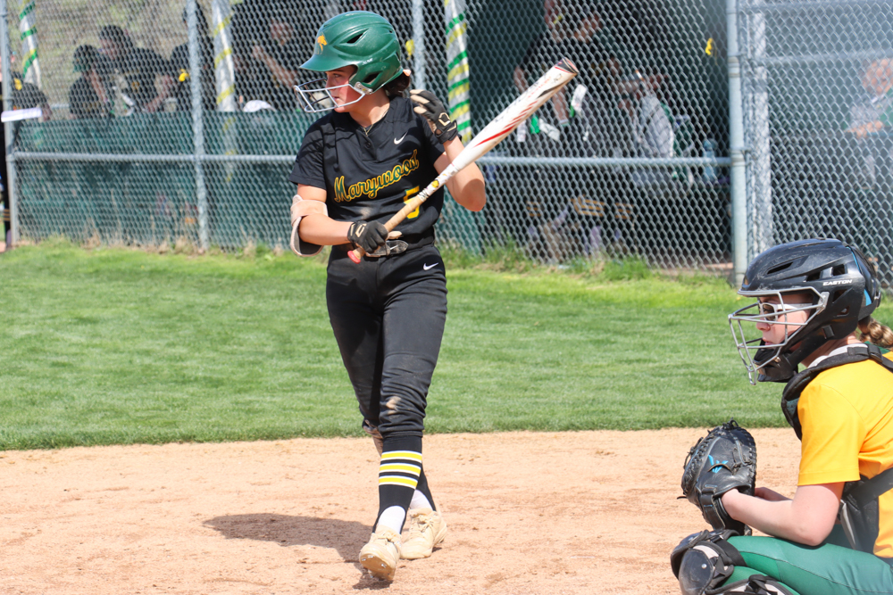Softball vs Suny Delhi