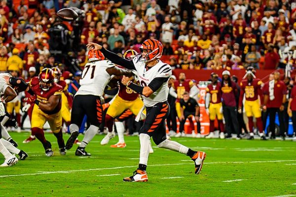 2025 NFL Season Predictions