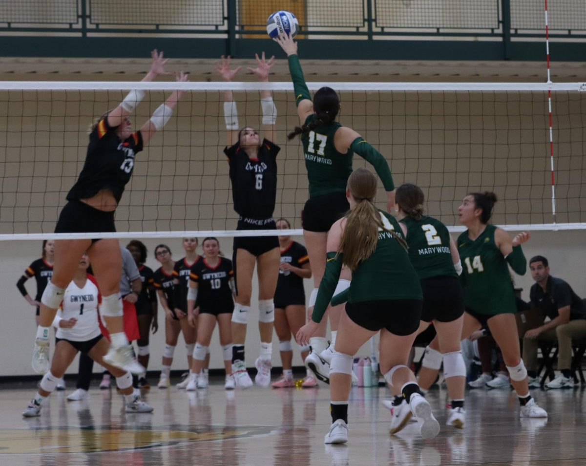 Marywood’s Volleyball continues their 11 week win streak into the conference season