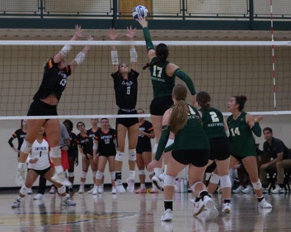 Marywood’s Volleyball continues their 11 week win streak into the conference season