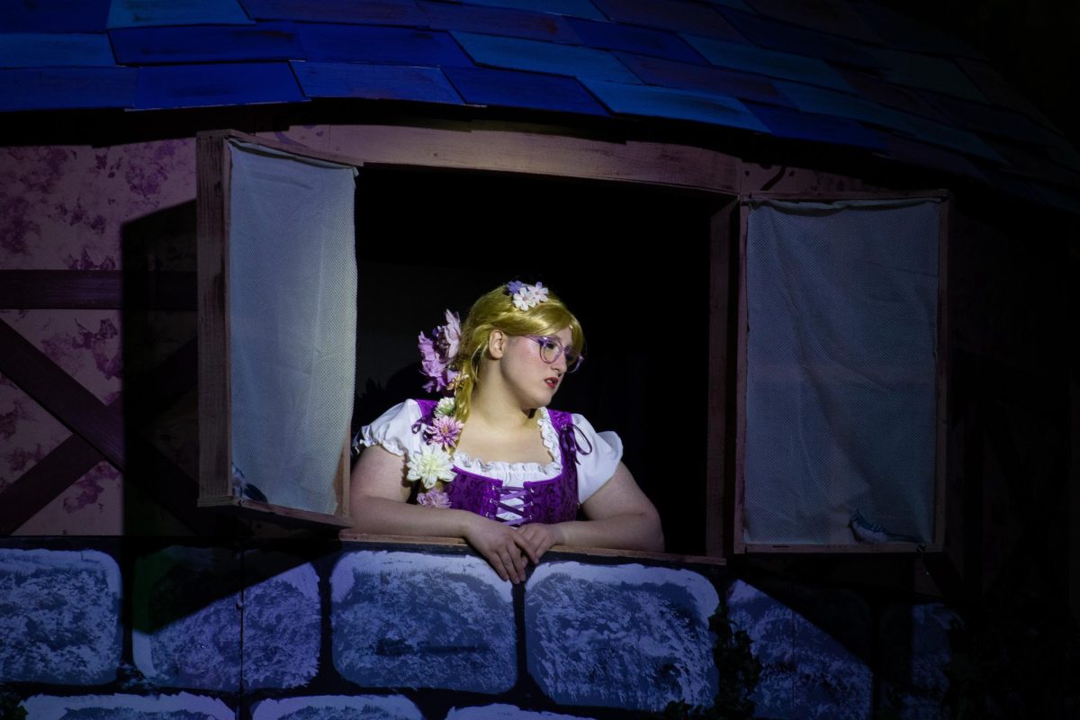 Let Your Hair Down Rapunzel